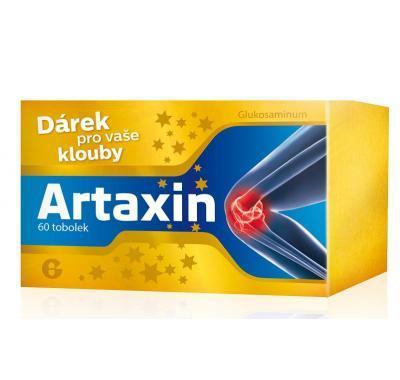 Artaxin 60 x 625 mg