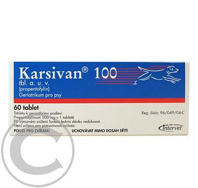 KARSIVAN 100 A.U.V. TBL 2X30X100MG