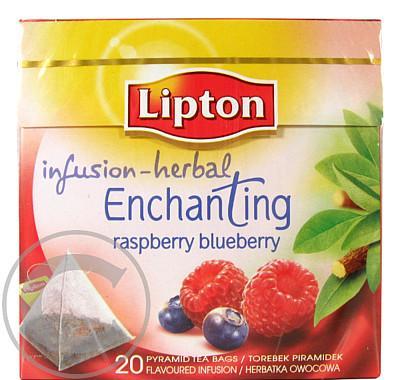 LIPTON pyramid Raspberry Blueberry Tea 20 x 2.2g 44g