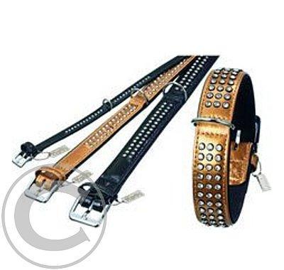 Obojek kožený Passion 50/30 Zlatý s kamínky KAR 1ks