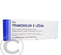 TRIAMCINOLON E LÉČIVA  1X20GM Mast